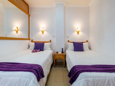 Deux lits simples avec une literie blanche et des accents violets dans une chambre d'hôtel.