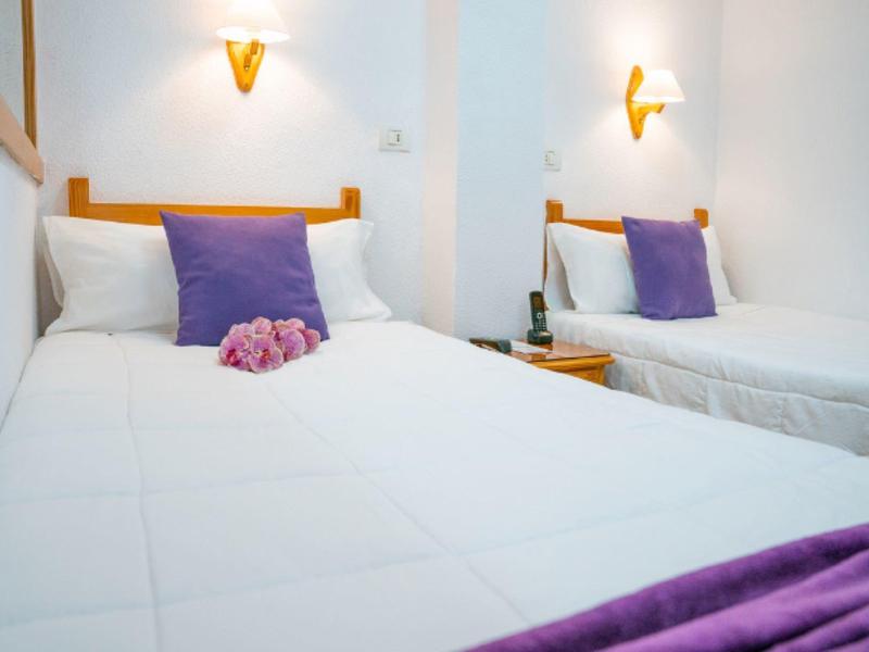 Deux lits simples avec linge blanc et coussins violets dans une pièce lumineuse.