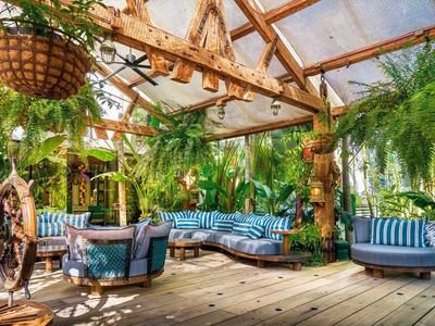 Cozy lounge with blue armchairs and green plants under wooden roof with glass windows.