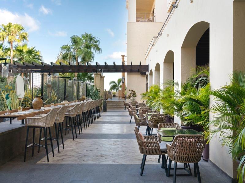 Patio d'hôtel extérieur avec chaises en osier et tables sous une pergola avec des palmiers.