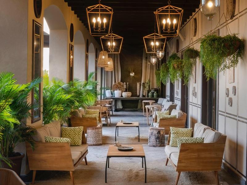 Salon extérieur d'hôtel cosy avec sièges, plantes et éclairage suspendu chaleureux la nuit.