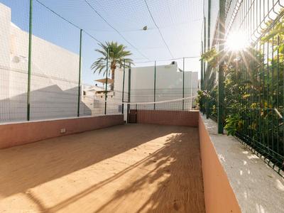 Terrain de pétanque ensoleillé avec des palmiers et des bâtiments blancs en arrière-plan.