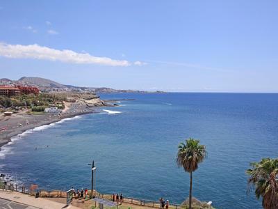 Vista costera con mar azul, palmeras y edificios residenciales bajo cielo despejado.