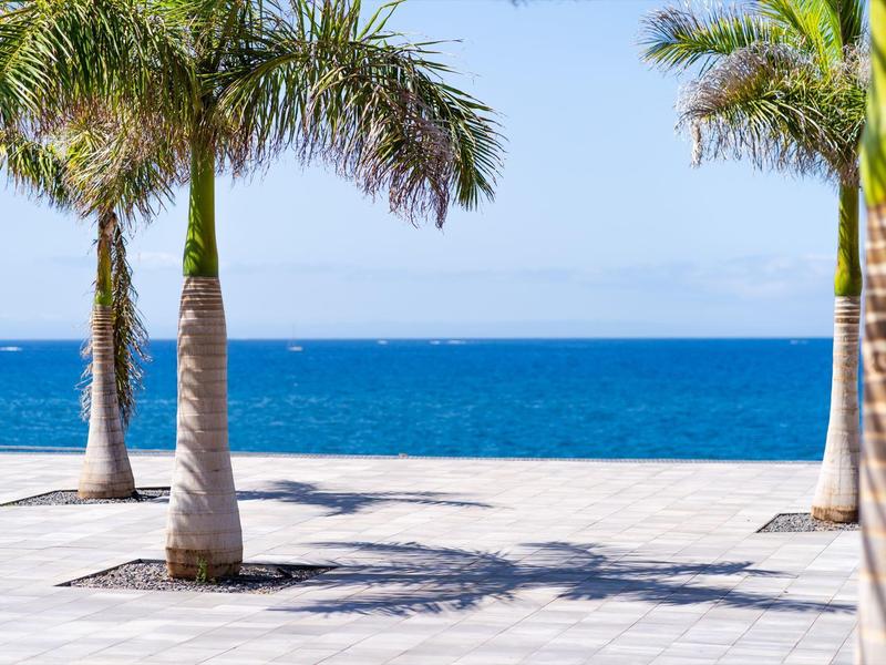 Palmeras en plaza pavimentada con mar azul claro al fondo bajo cielo soleado.