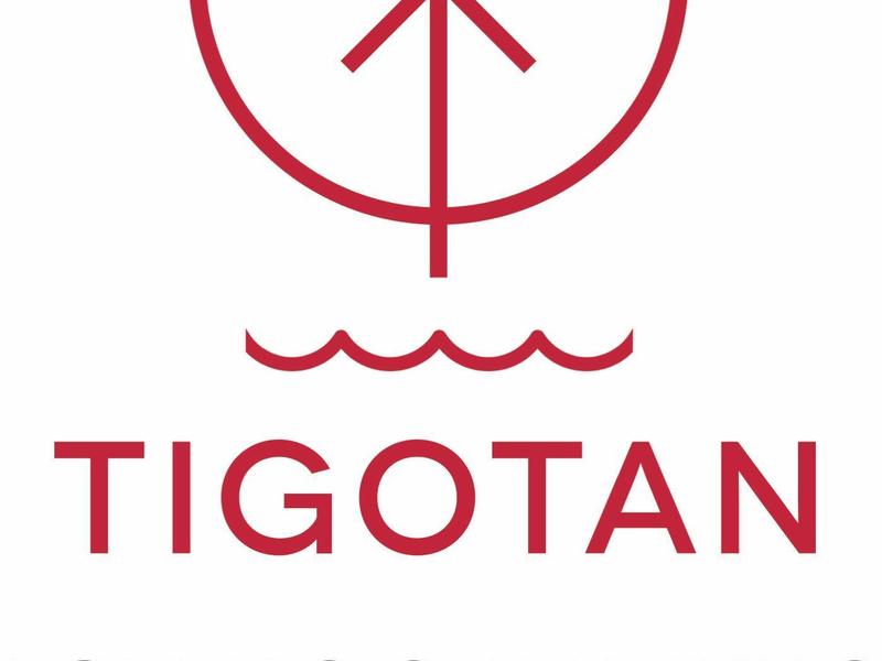 Logo avec arbre stylisé et vagues au-dessus du texte Tigotan Playa de las Américas.