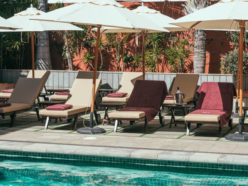Kilka wyściełanych leżaków i parasoli obok basenu na tarasie z roślinami