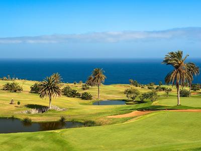 Green golf course with palm trees and a view of the blue sea under a clear sky