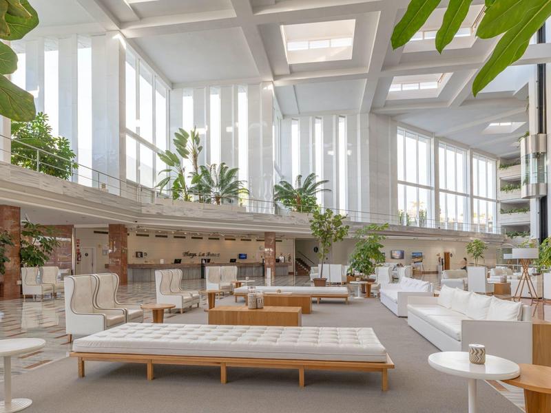 Bright, modern hotel lounge with tall windows and plenty of greenery.