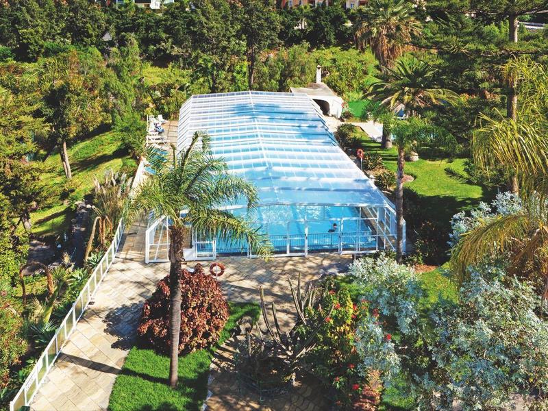 View of a rectangular outdoor pool surrounded by palm trees and greenery.