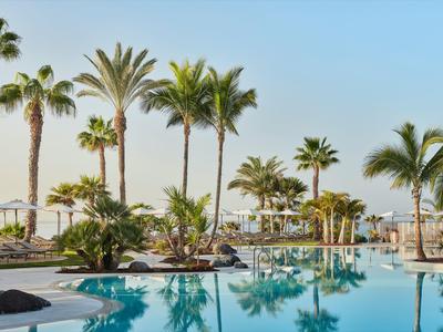 Área de piscina tropical con palmeras y tumbonas bajo un cielo despejado.
