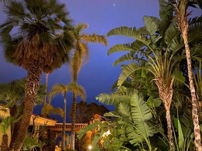 Osvětlená zahradní cesta s palmami pod tmavou oblohou v hotelovém resortu.