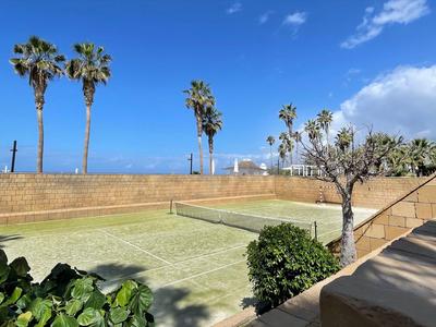 Otwarta przestrzeń na zewnątrz z palmami, jasnym niebieskim niebem i nasłonecznionymi schodami obok basenu.