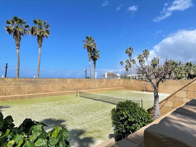 Widok na zadbany ogród z palmami i czystym niebieskim niebem.