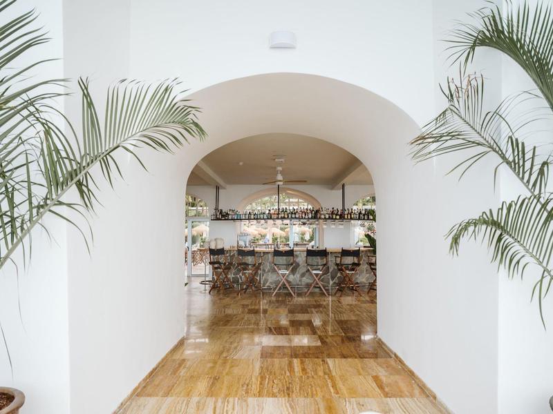 Corridoio luminoso con pavimento in legno e due piante in vaso che conduce a un bar o ristorante.