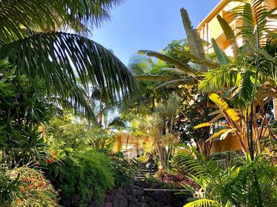 Camino curvo rodeado de vegetación tropical junto a un edificio de hotel amarillo bajo el cielo azul.