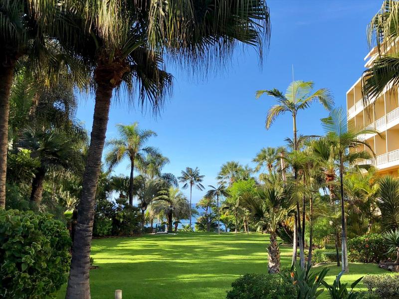 Área de césped verde con palmeras y edificio de hotel bajo cielo azul junto al mar