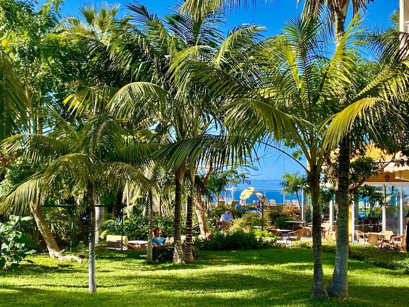 Jardín tropical verde con palmeras y cielo azul en un lugar vacacional soleado.