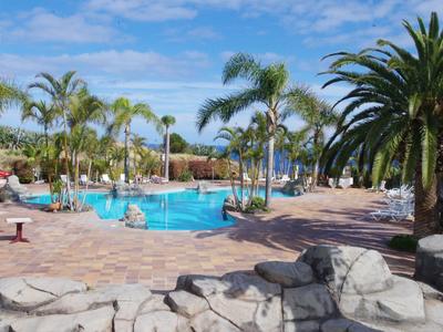 Un'area piscina circondata da palme con sentieri in pietra e zone salotto sotto un cielo blu.