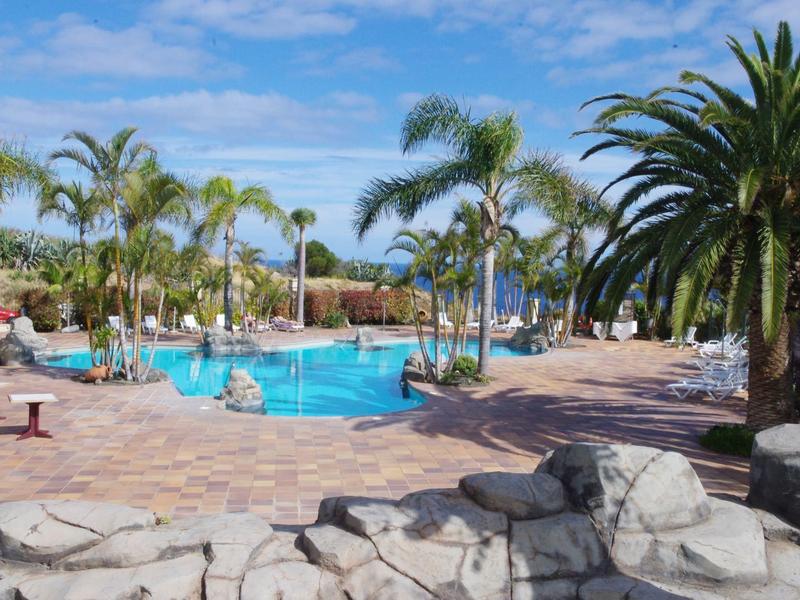 Un'area piscina circondata da palme con sentieri in pietra e zone salotto sotto un cielo blu.