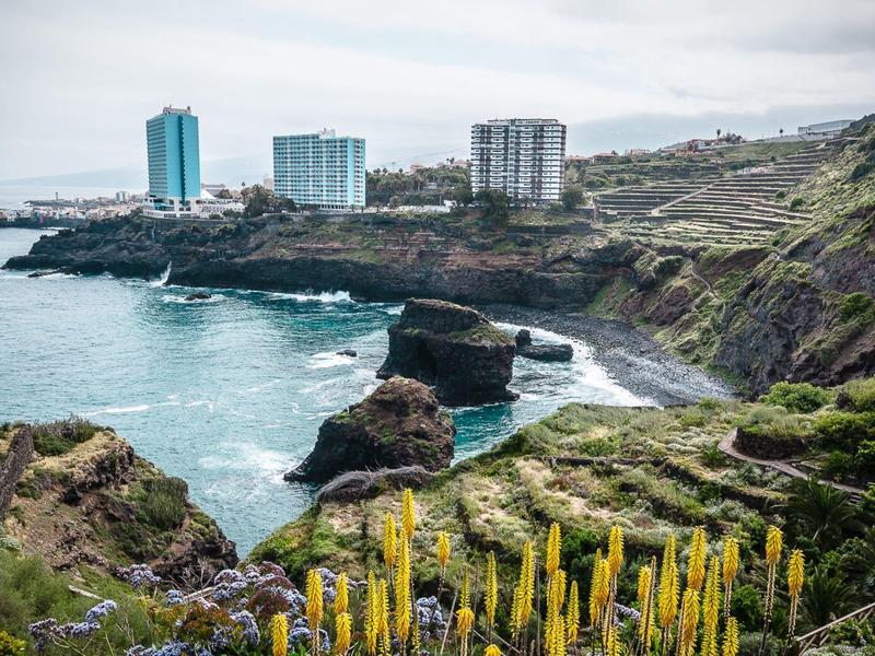 Costa con scogliere, fiori gialli in primo piano e diversi edifici alti vicino al mare.