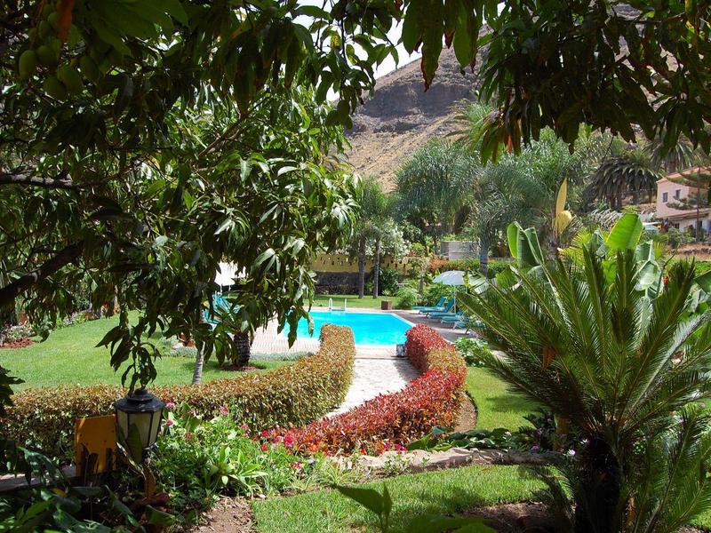 Grüner Garten mit Pool umgeben von Palmen und Büschen in einer Hotelanlage.
