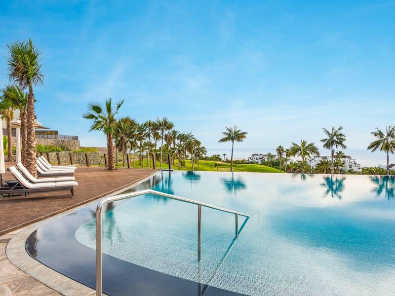 Piscine à débordement avec palmiers et chaises longues au bord de la mer sous un ciel bleu.