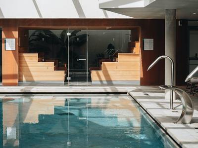Modern indoor pool with wooden paneling and glass front in bright light.