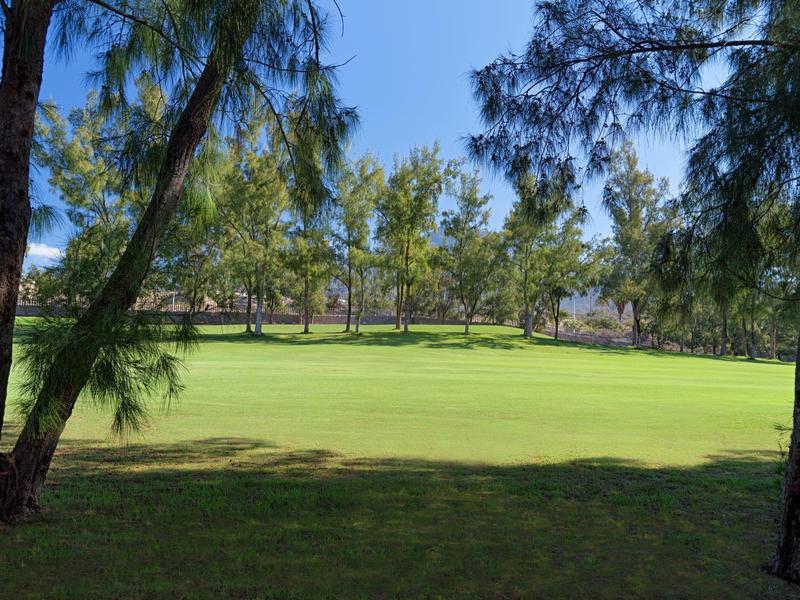 Grüner Park mit Grasfläche, umgeben von Bäumen bei sonnigem blauem Himmel.