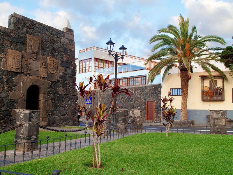 Jardin verdoyant avec palmiers, plantes et anciens bâtiments en pierre sous un ciel nuageux.