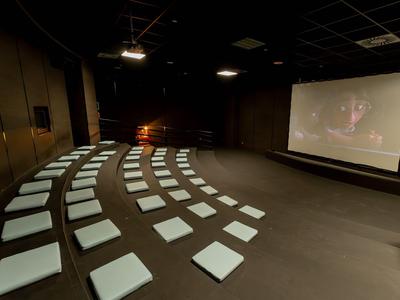 Een donkere bioscoopruimte met een groot scherm en veel witte kussens op de vloer.