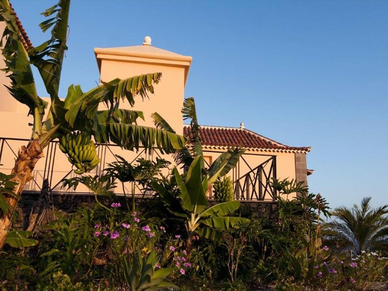 Een licht gebouw met een plat dak achter weelderige tropische planten onder een heldere lucht.