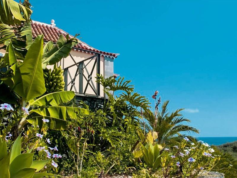 Deels zichtbaar gebouw met rood dakpannen en vakwerk voor blauwe lucht en palmbomen