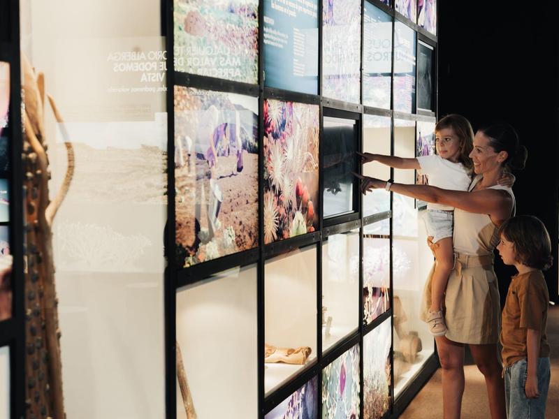 Drei Personen betrachten digitale Bildschirme mit Naturaufnahmen in einer dunklen Ausstellung.