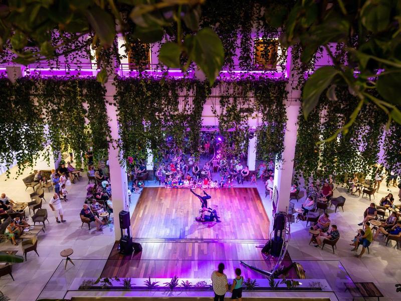 Beleuchtete Bühne mit Musiker in einer Halle, umgeben von hängenden Pflanzen und Publikum an Tischen.