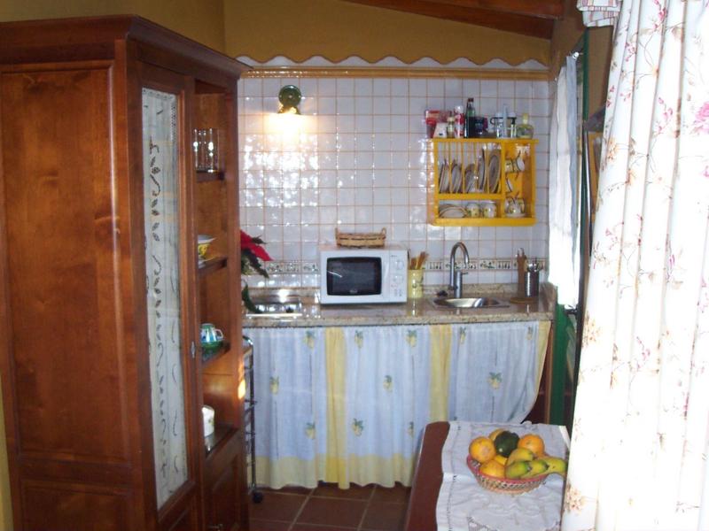 Gemütliche Küche mit Holzmöbeln, Spüle, Mikrowelle und Obst auf Tisch vor gemusterter Gardine.