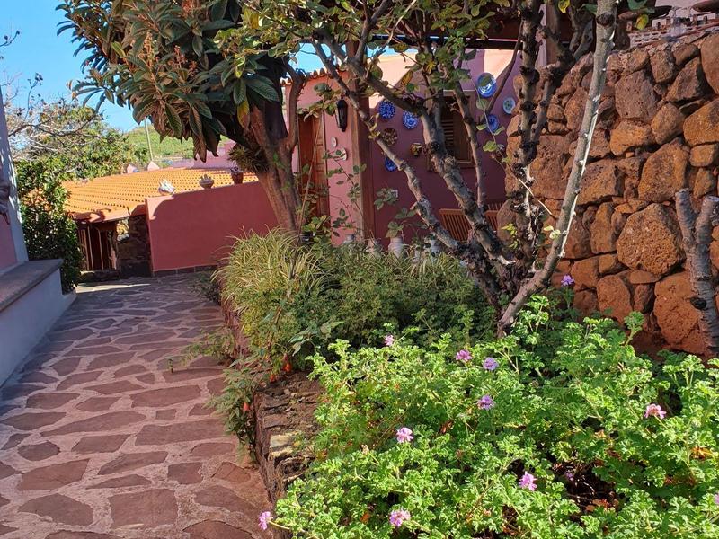 Slunečná dlážděná zahradní cesta vedle kamenné zdi a zelených keřů.