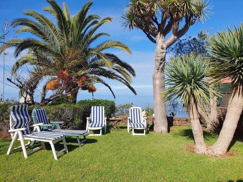 Lehátka na zelené trávě mezi palmami s výhledem na moře za jasné oblohy.