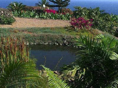 Un petit étang entouré de plantes vertes et d'arbustes avec vue sur la mer en arrière-plan.