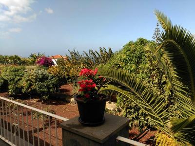 Vue d'une terrasse plantée avec des plantes en pot et des arbustes verts sous un ciel bleu.