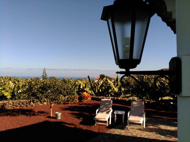 Deux chaises longues sous un lampadaire avec vue sur un vignoble par ciel dégagé.