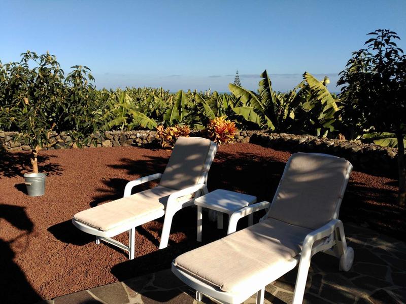 Deux chaises longues blanches avec coussins sur sol marron entourées de plantes et ciel clair.