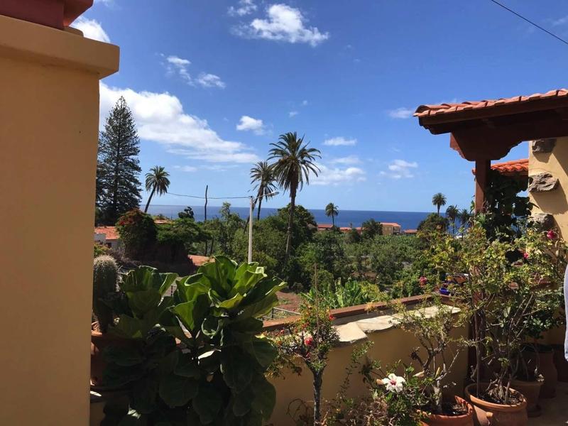 Vista sul mare e palme da una terrazza con piante e edifici in primo piano.