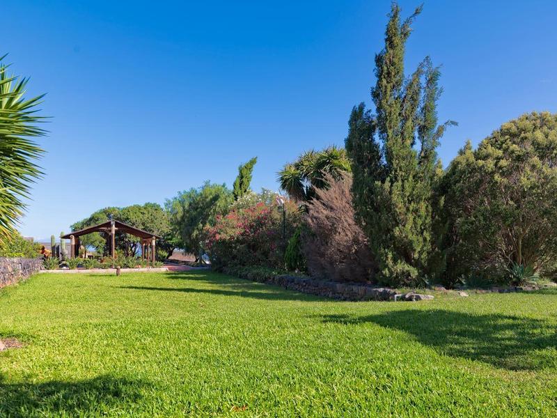 Ampio prato verde con alberi e cielo azzurro limpido in una giornata di sole.