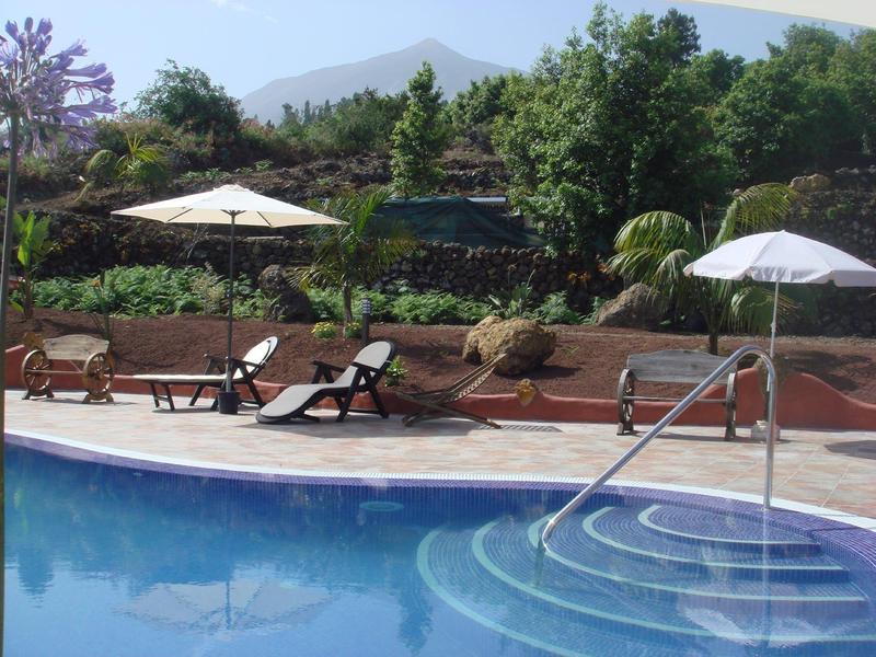 Schwimmbecken mit Stufen, zwei Sonnenschirmen und mehreren Liegestühlen, umgeben von Grün.