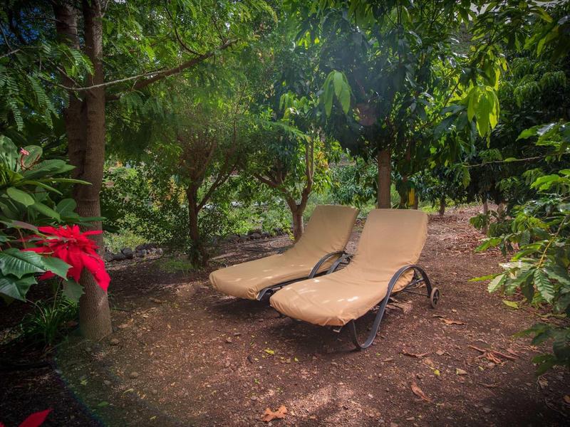 Due comodi lettini in un giardino ombreggiato circondato da verde rigoglioso e fiori rossi.