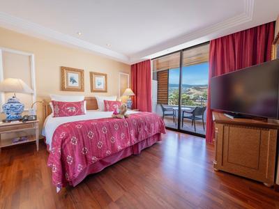 Chambre d'hôtel avec deux lits simples, télévision, balcon et vue sur le paysage.