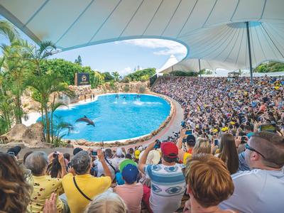 Large crowd watching dolphin show in a covered pool area with tropical surroundings.