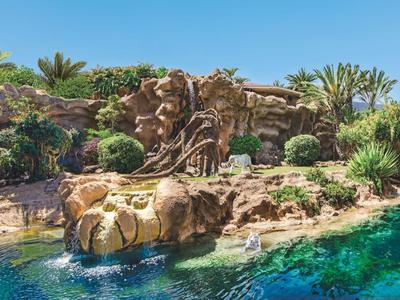 Natural pool with rocks and lush vegetation under a clear blue sky.