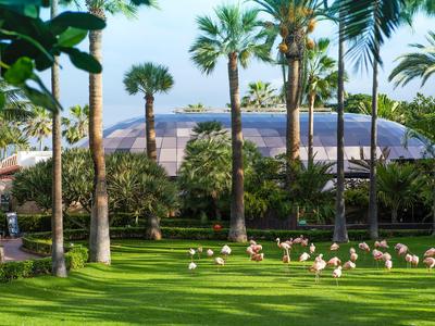 Parco verde con palme e fenicotteri davanti a una grande cupola di vetro.
