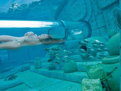 Woman swimming in a transparent underwater tunnel with marine sculptures and fish